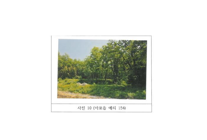 경상북도 김천시 아포읍 예리 산29-1 임야 경매 사진 33