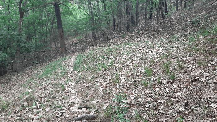 경상북도 김천시 아포읍 예리 154 전 경매 사진 14