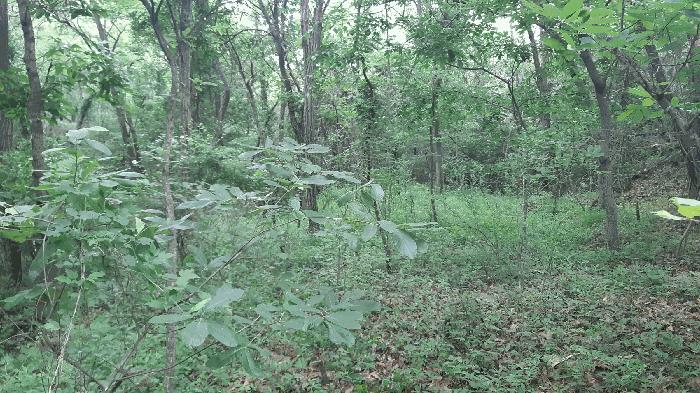 경상북도 김천시 아포읍 예리 154 전 경매 사진 23