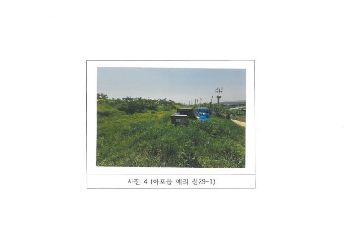 경상북도 김천시 아포읍 예리 154 전 경매 사진 27