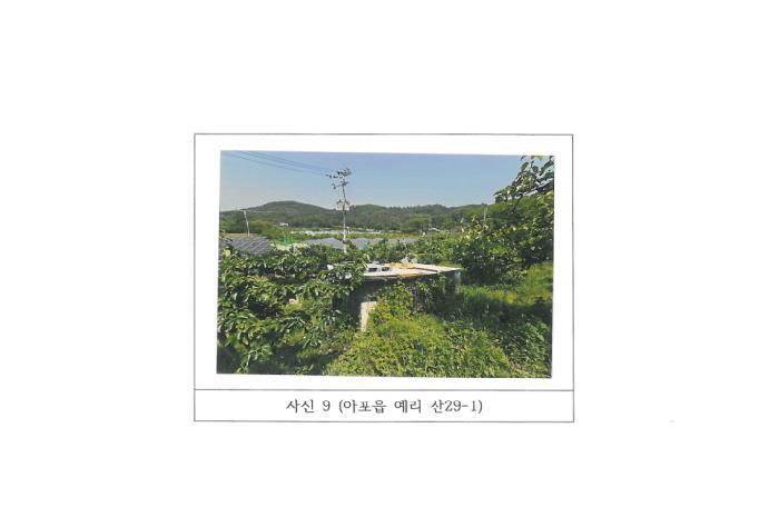 경상북도 김천시 아포읍 예리 154 전 경매 사진 32