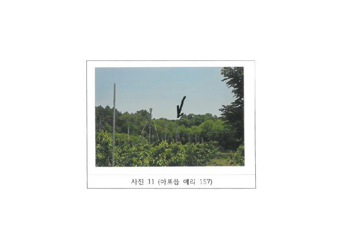 경상북도 김천시 아포읍 예리 154 전 경매 사진 34