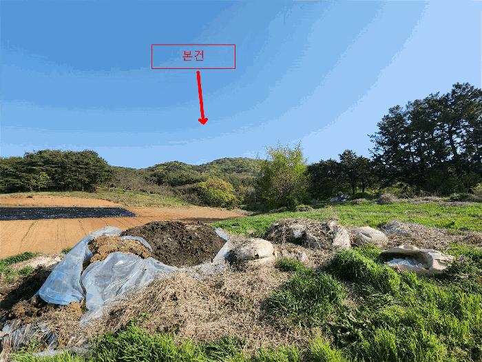충청남도 태안군 이원면 사창리 산33 임야 경매 사진 4