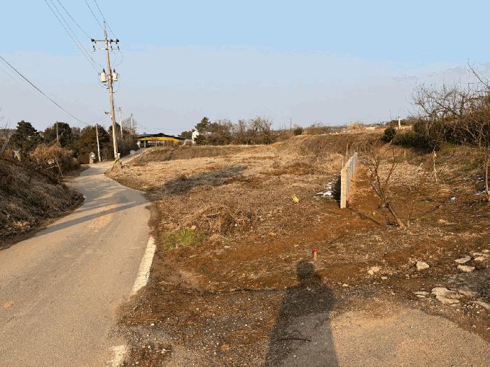 전라남도 나주시 금천면 오강리 16-7 과수원 경매 사진 2