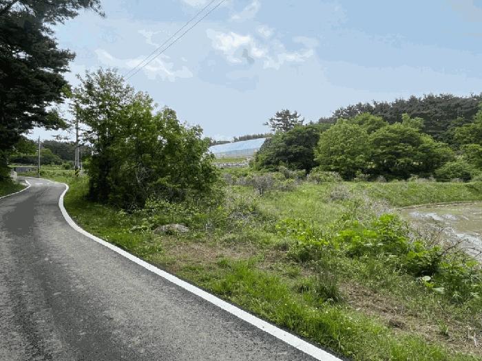 충청남도 태안군 소원면 영전리 451 답 경매 사진 1