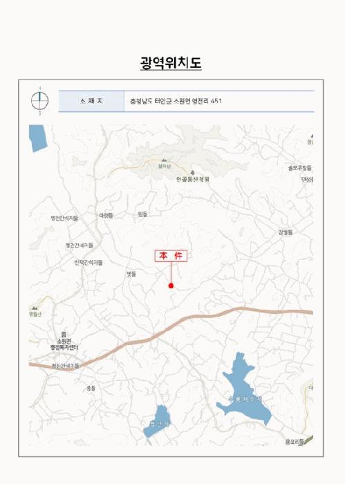 충청남도 태안군 소원면 영전리 451 답 경매 사진 11