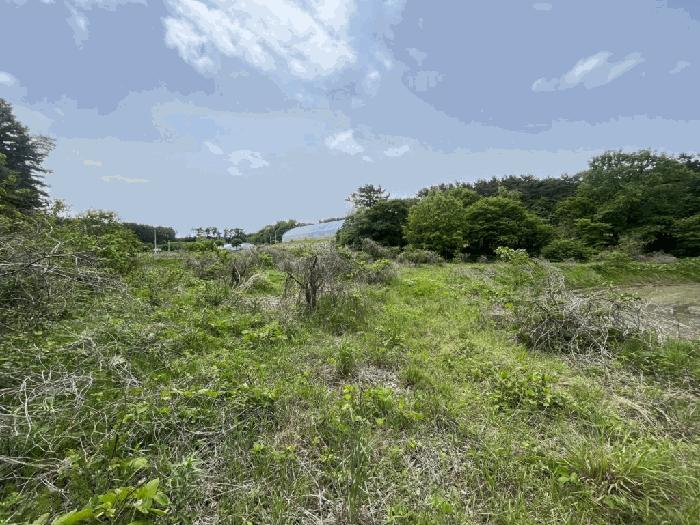 충청남도 태안군 소원면 영전리 451 답 경매 사진 2