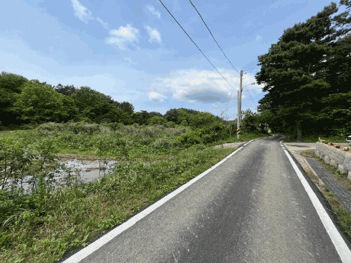 충청남도 태안군 소원면 영전리 451 답 경매 사진 4