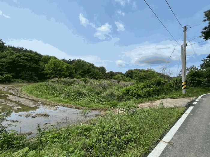 충청남도 태안군 소원면 영전리 451 답 경매 사진 5