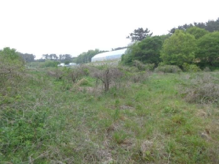 충청남도 태안군 소원면 영전리 451 답 경매 사진 7