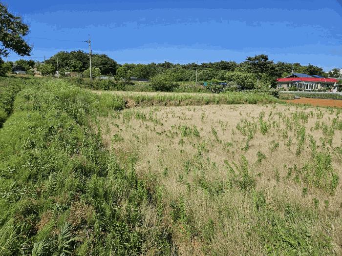 충청남도 당진시 신평면 거산리 470 전 경매 사진 2