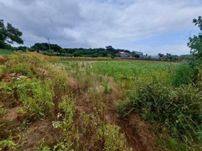 충청남도 당진시 신평면 거산리 470 전 경매 사진 5