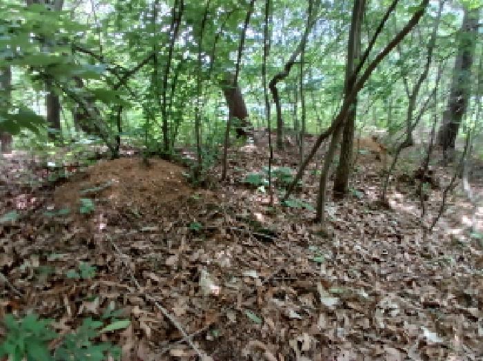 충청남도 서산시 성연면 예덕리 400-7 답 경매 사진 10