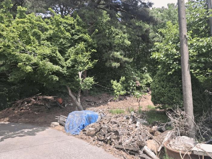 충청남도 서산시 성연면 예덕리 산96-3 임야 경매 사진 4