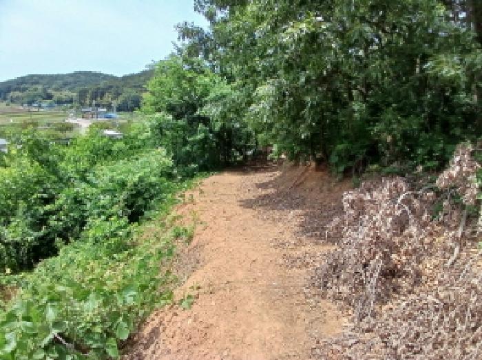 충청남도 서산시 성연면 예덕리 산96-3 임야 경매 사진 9