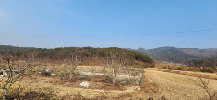 경상북도 구미시 해평면 창림리 455 답 경매 사진 4