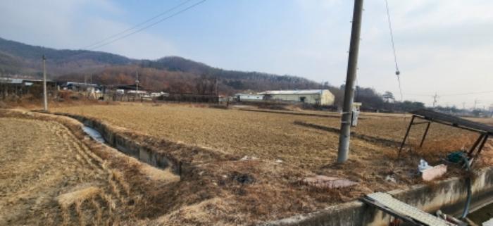 경상북도 구미시 도개면 동산리 579 전 경매 사진 1