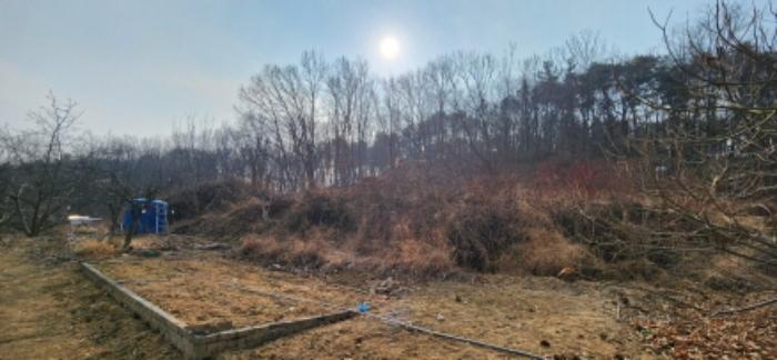 경상북도 구미시 도개면 동산리 579 전 경매 사진 9
