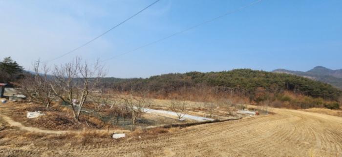 경상북도 구미시 도개면 동산리 579 전 경매 사진 3