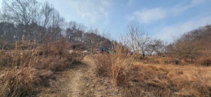 경상북도 구미시 도개면 동산리 579 전 경매 사진 7