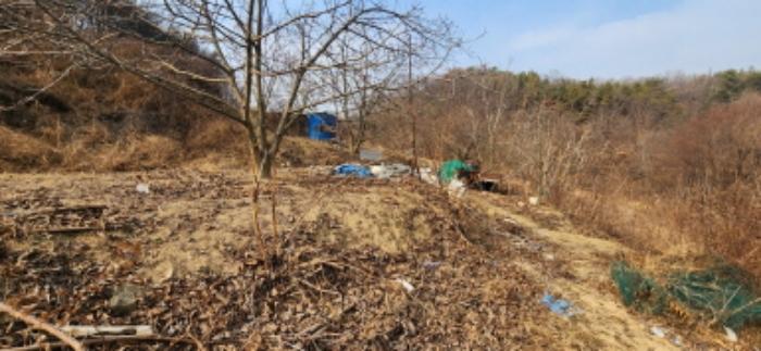 경상북도 구미시 도개면 동산리 579 전 경매 사진 8