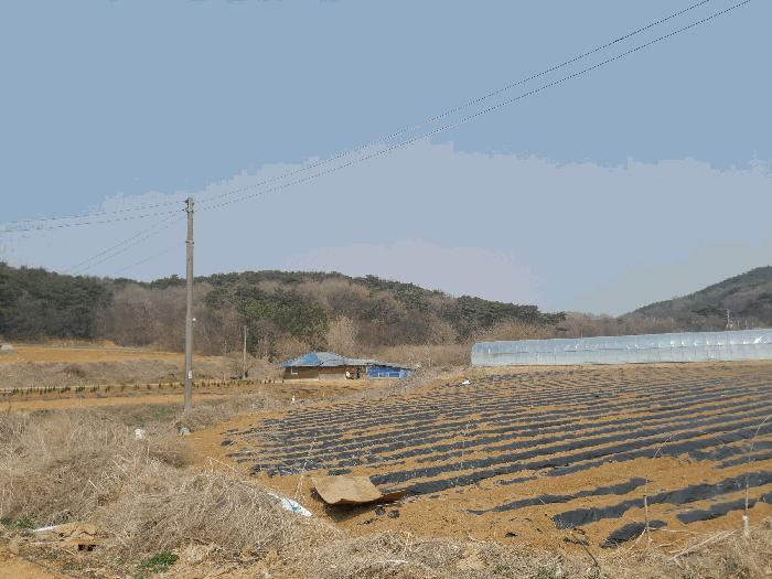 충청남도 당진시 고대면 옥현리 산52 임야 경매 사진 3