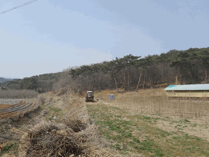 충청남도 당진시 고대면 옥현리 산52 임야 경매 사진 4