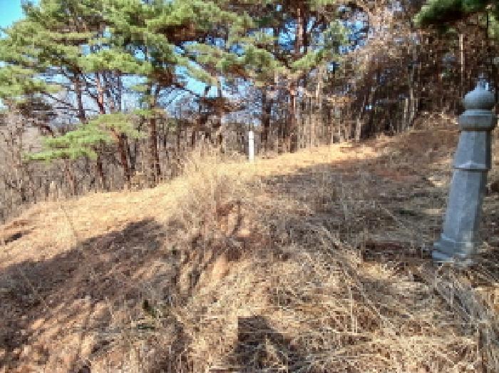 충청남도 당진시 고대면 옥현리 산52 임야 경매 사진 7