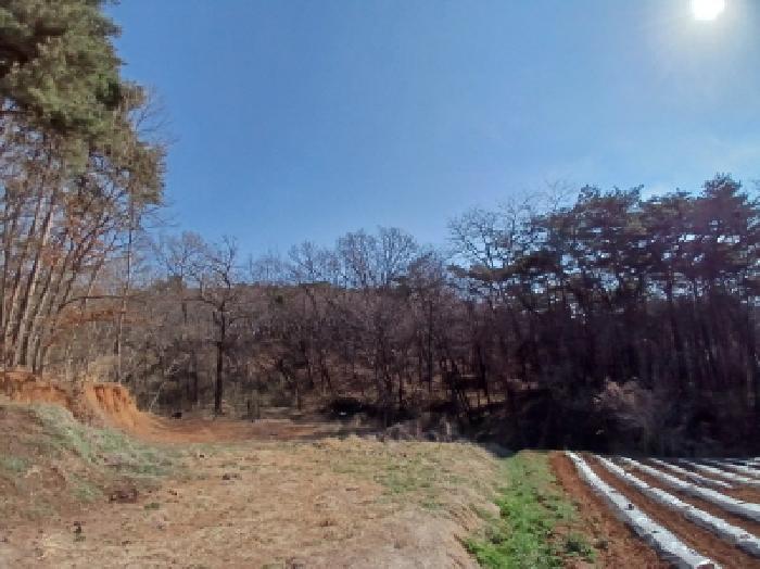충청남도 당진시 고대면 옥현리 산52 임야 경매 사진 8