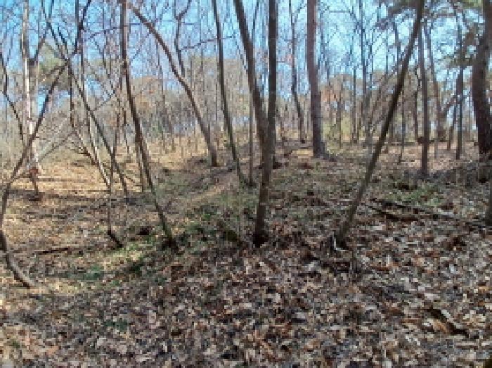 충청남도 당진시 고대면 옥현리 산52 임야 경매 사진 9