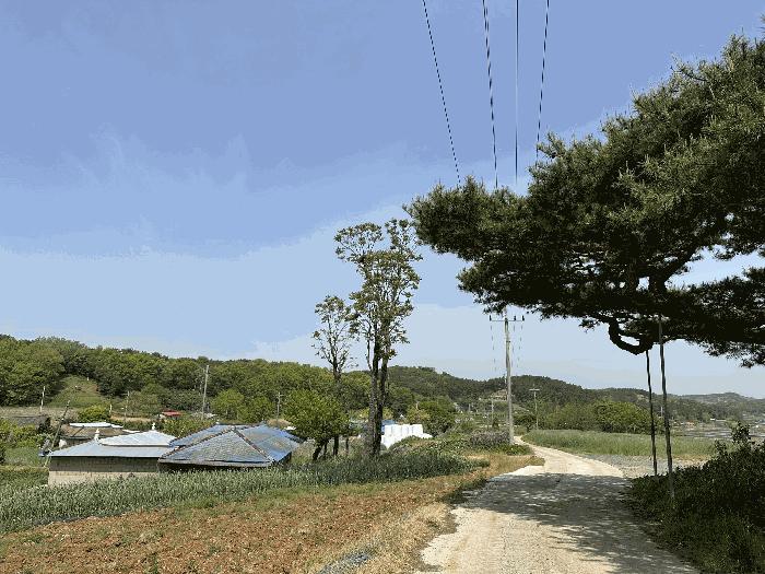 충청남도 당진시 대호지면 마중리 산110-10 임야 경매 사진 4