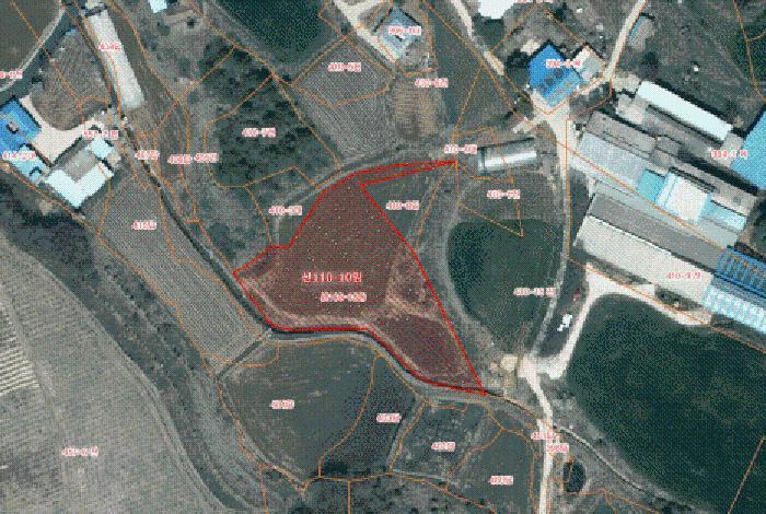 충청남도 당진시 대호지면 마중리 산110-10 임야 경매 사진 5