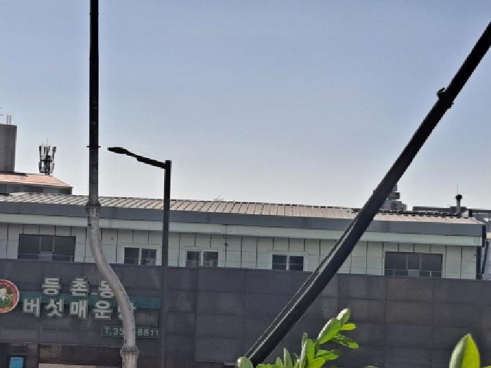 충청남도 당진시 송악읍 기지시리 155-7 근린시설 경매 사진 11