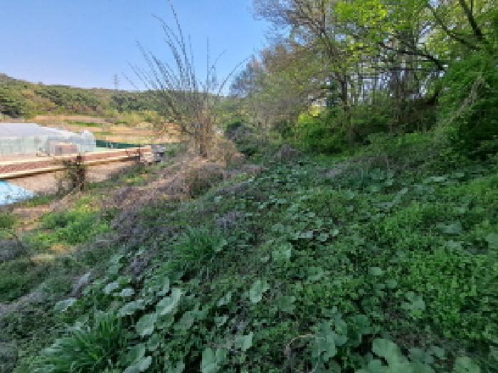 충청남도 당진시 송산면 당산리 192 전 경매 사진 13