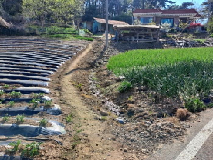 충청남도 당진시 송산면 당산리 192 전 경매 사진 15