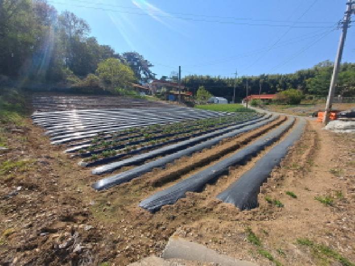 충청남도 당진시 송산면 당산리 202 전 경매 사진 10