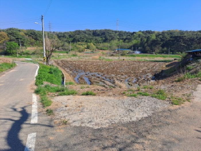 충청남도 당진시 송산면 당산리 202 전 경매 사진 12