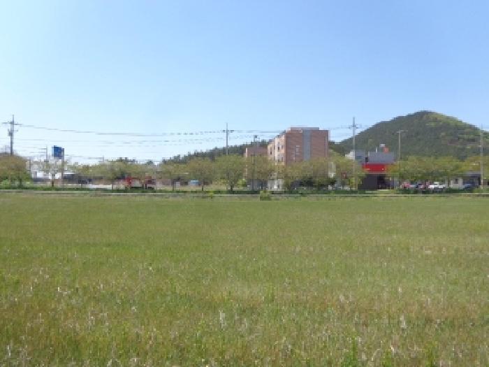 충청남도 태안군 소원면 신덕리 263-1 답 경매 사진 9
