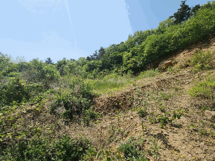 충청남도 서산시 임야