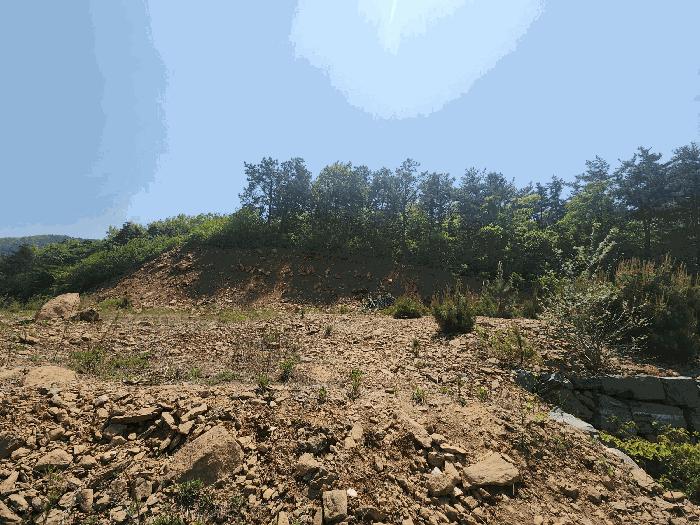 충청남도 서산시 인지면 산동리 248-23 임야 경매 사진 10