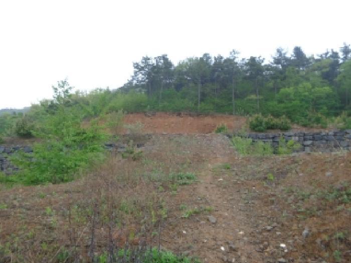 충청남도 서산시 인지면 산동리 248-23 임야 경매 사진 19