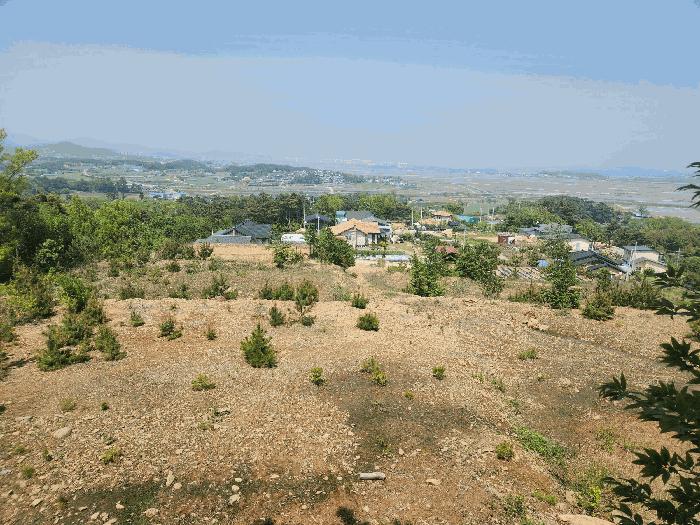 충청남도 서산시 인지면 산동리 248-23 임야 경매 사진 2