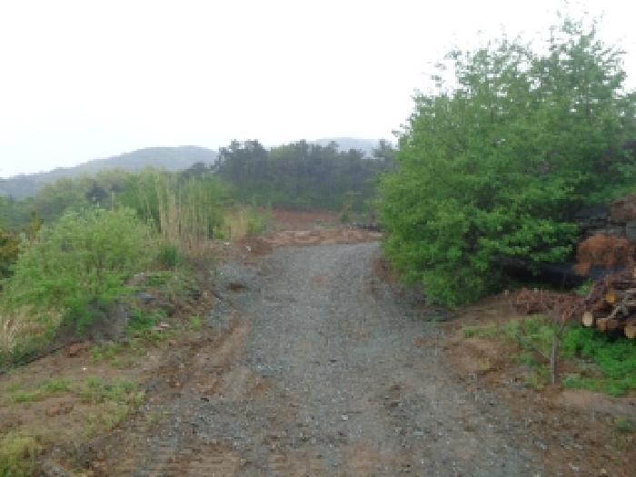 충청남도 서산시 인지면 산동리 248-23 임야 경매 사진 21