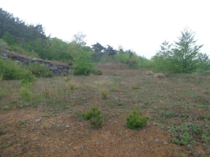충청남도 서산시 인지면 산동리 248-23 임야 경매 사진 24