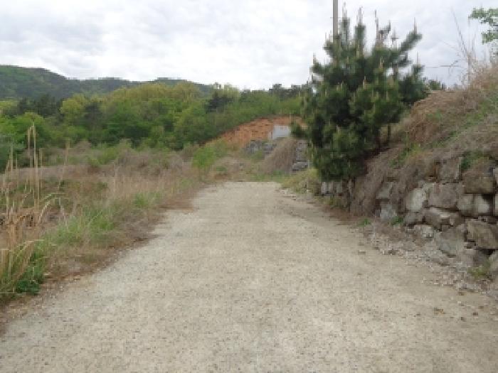 충청남도 서산시 인지면 산동리 248-23 임야 경매 사진 26