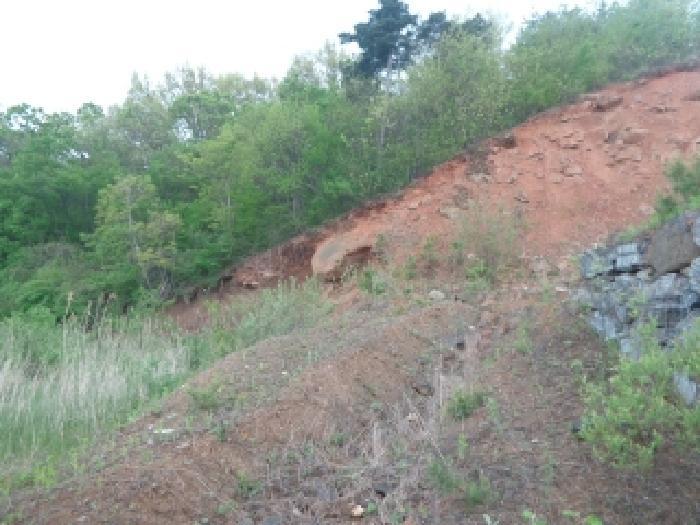 충청남도 서산시 인지면 산동리 248-23 임야 경매 사진 29