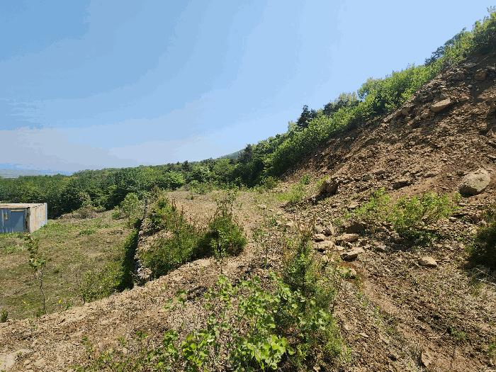 충청남도 서산시 인지면 산동리 248-23 임야 경매 사진 3