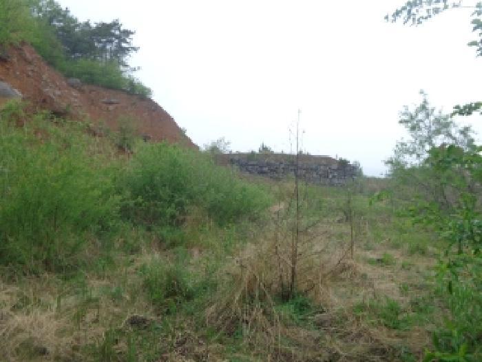 충청남도 서산시 인지면 산동리 248-23 임야 경매 사진 31
