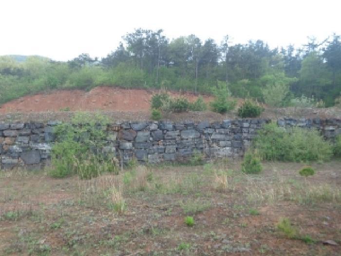충청남도 서산시 인지면 산동리 248-23 임야 경매 사진 40