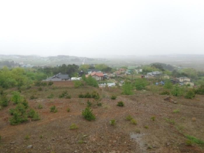 충청남도 서산시 인지면 산동리 248-23 임야 경매 사진 46